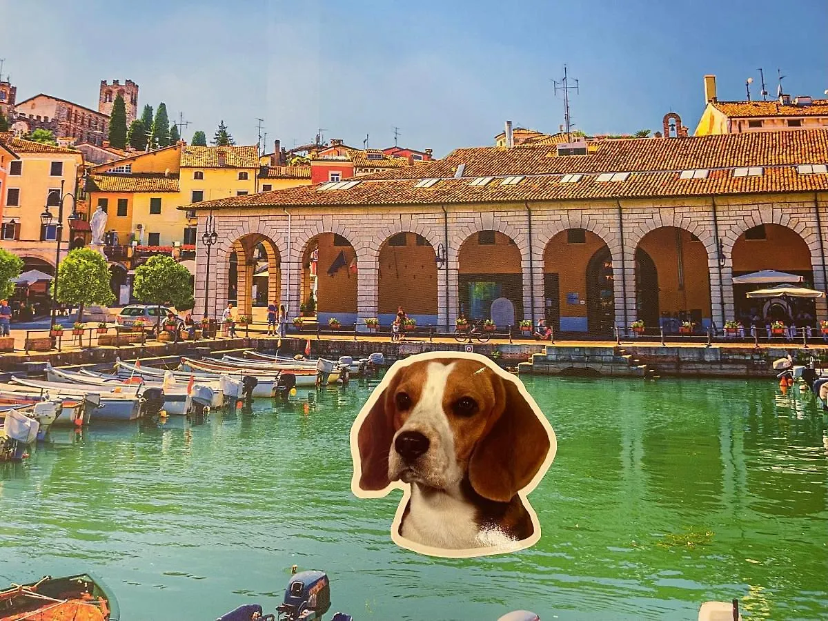 Desenzanoloft Smile On The Lake Desenzano del Garda 0*,